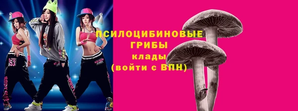 гидропоника Вяземский