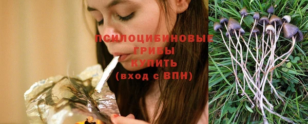 гидропоника Вяземский