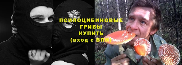 гидропоника Вяземский