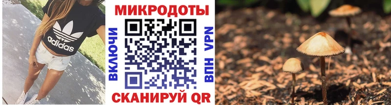 Псилоцибиновые грибы Psilocybe Новохопёрск
